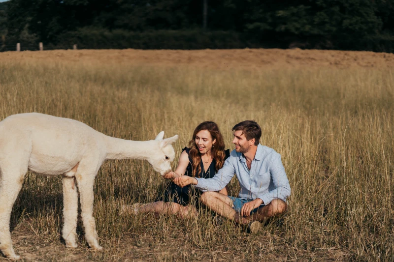 Alpaca Trekking with Bonnington Farm